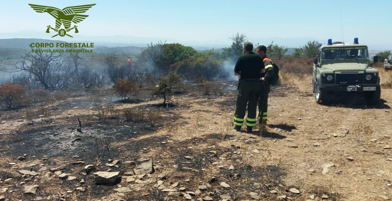 Nord Sardegna Ancora Incendi Bruciati 15 Ettari