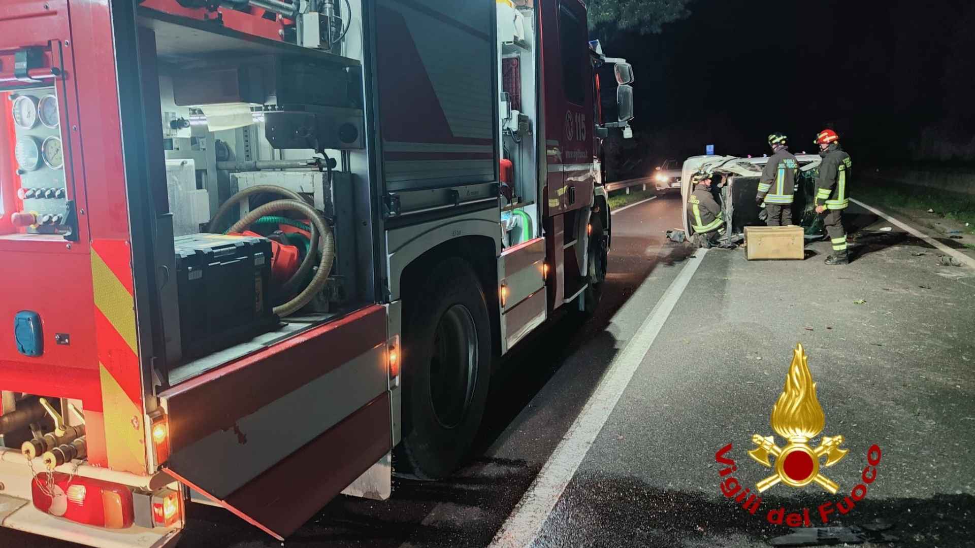 Cinghiale sulla carreggiata: auto fuori controllo e ribaltata