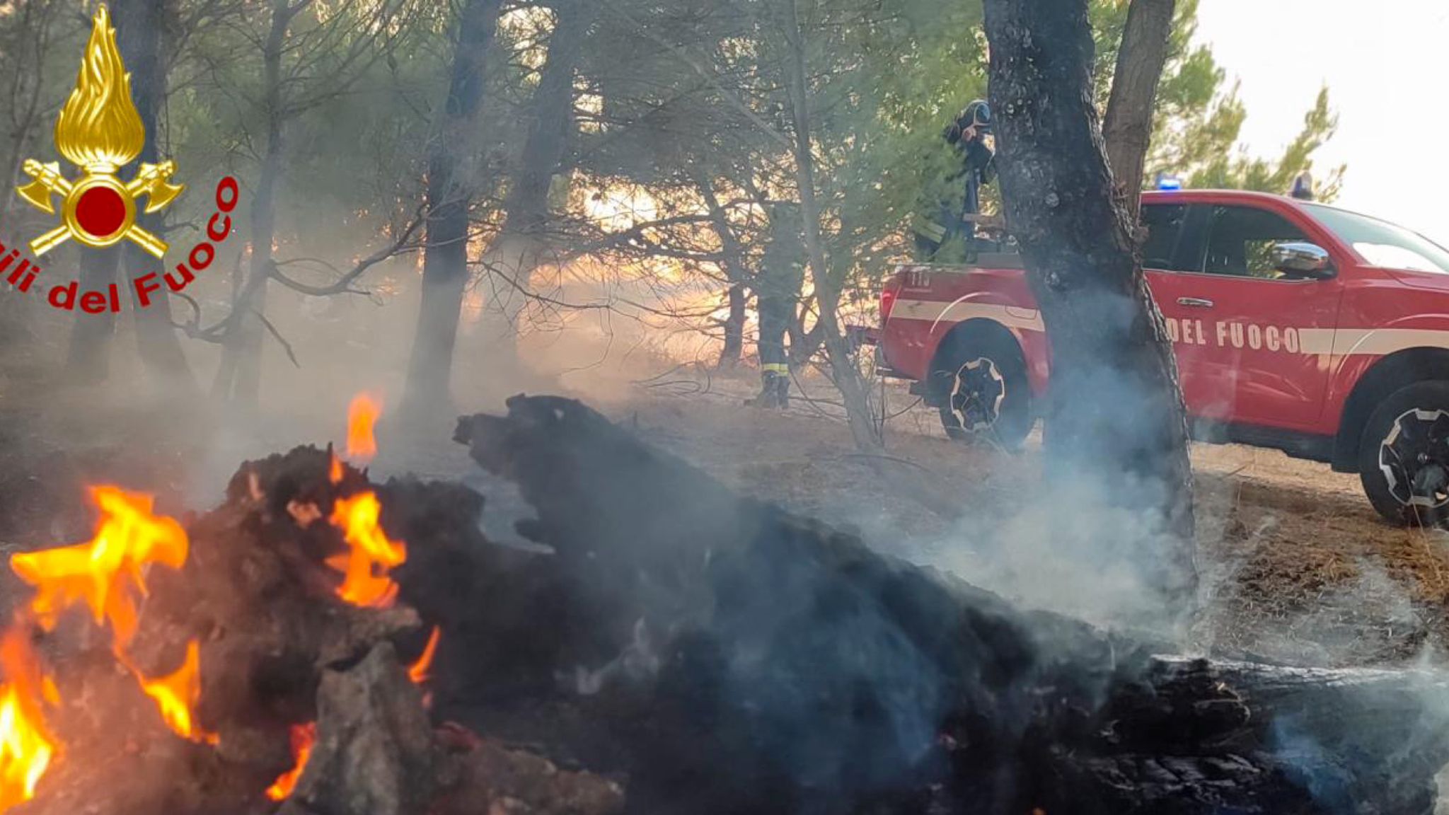 Incendio di vegetazione vicino al cimitero: ore di lavoro per i vigili del fuoco