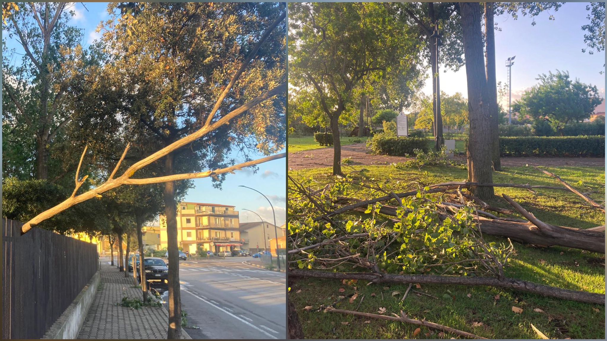 Olbia, maltempo: parco chiuso e alberi in terra