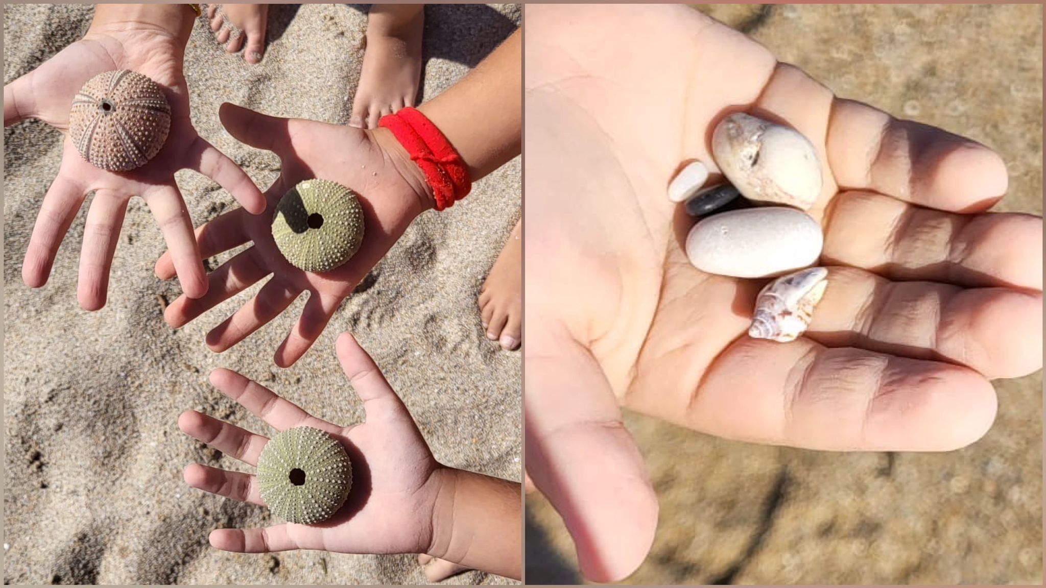 i bambini restituiscono le conchiglie al mare #finsubito richiedi mutuo fino 100%