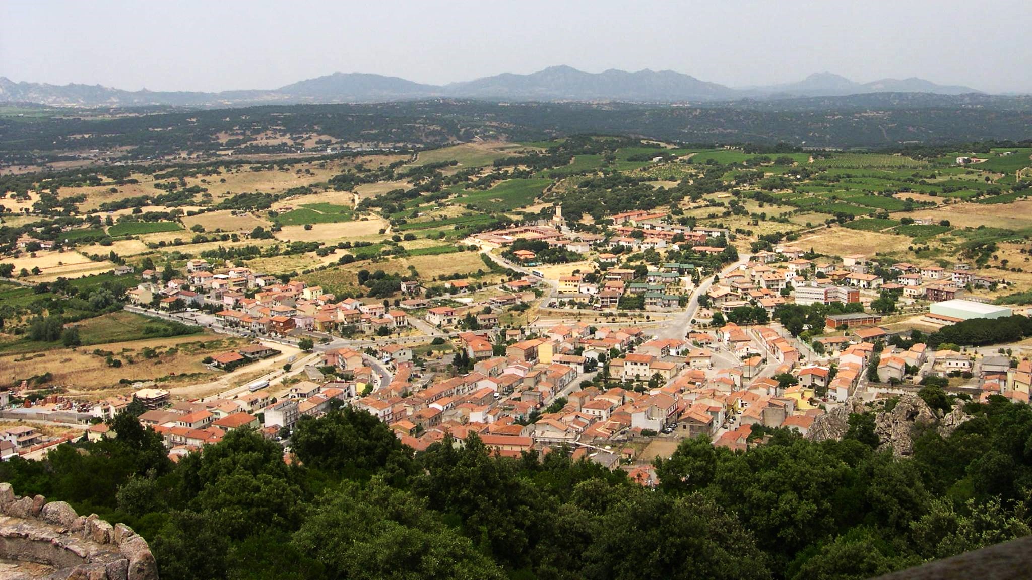 Alla scoperta di Monti: una serata per raccontare la storia e le bellezze del territorio