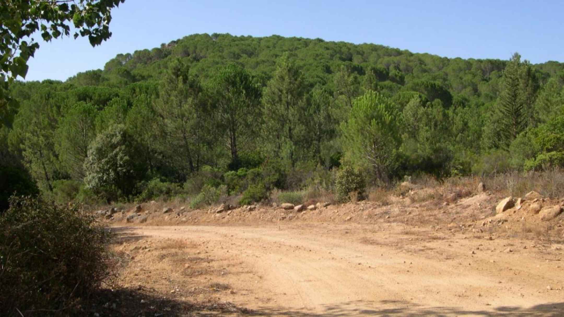 Opportunità di lavoro con Forestas: posizioni aperte in 12 comuni della Gallura