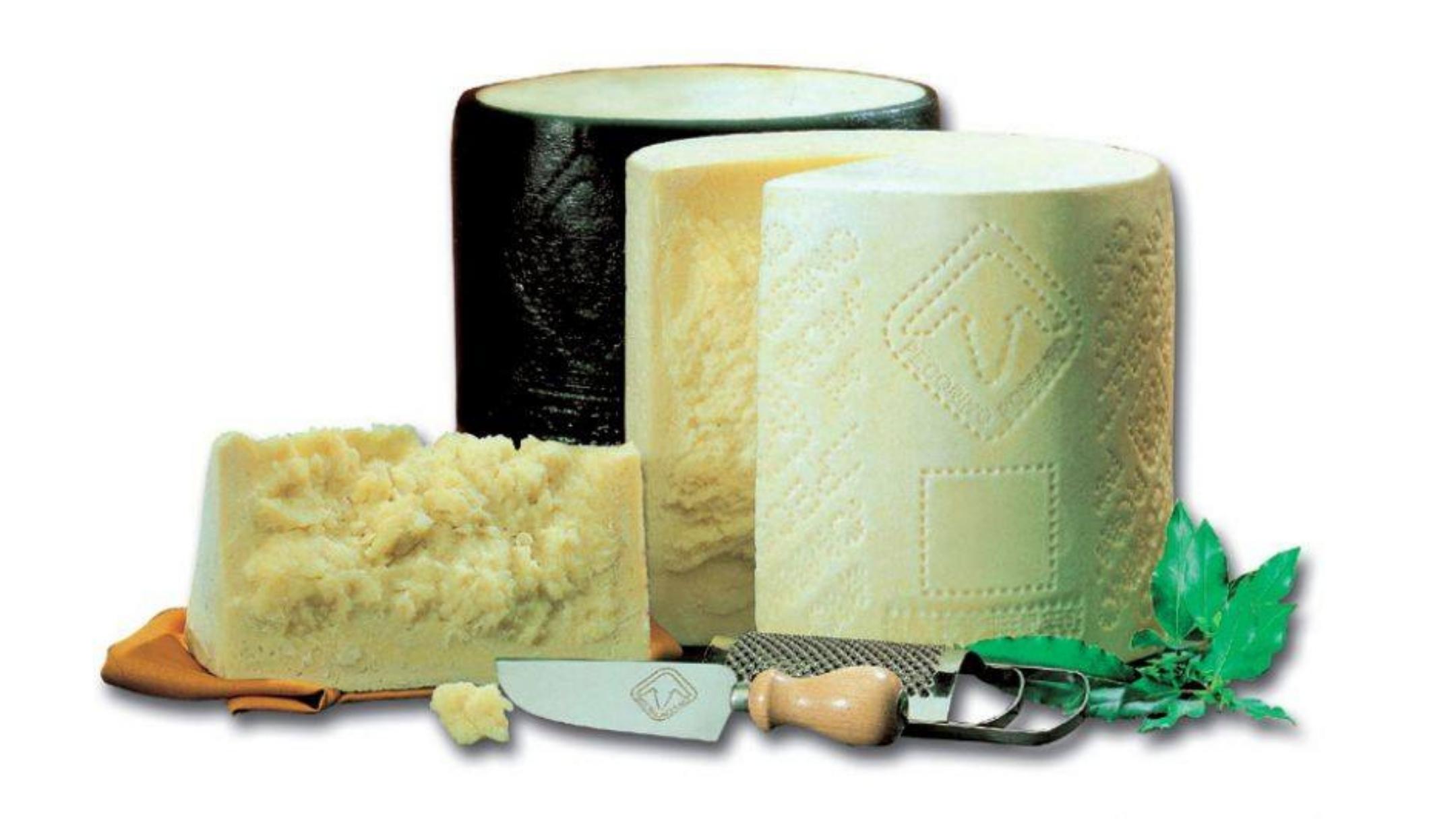 Pecorino Romano DOP: scontro sulle razze autoctone e il futuro del formaggio simbolo della Sardegna