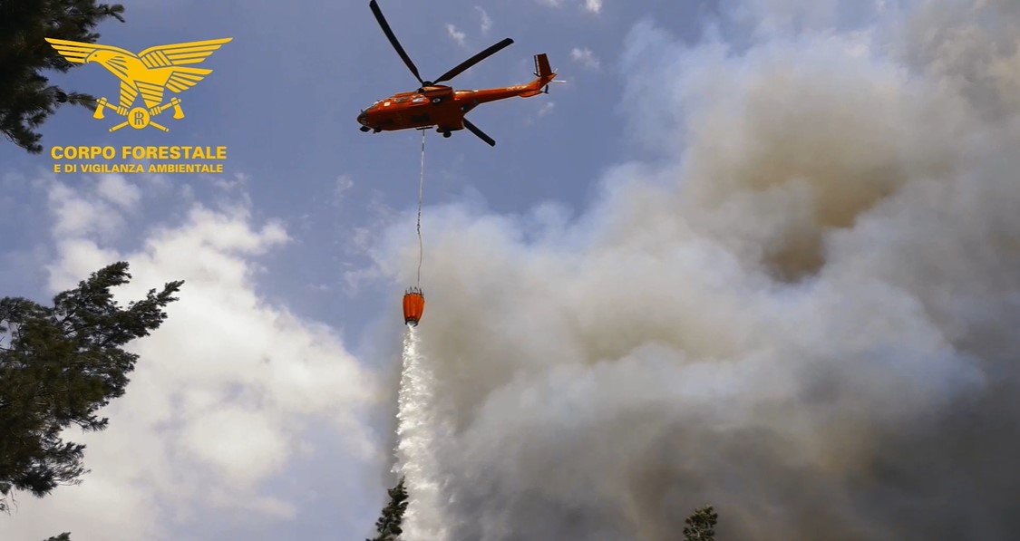 La Maddalena, incendio boschivo: arrestato un giovane