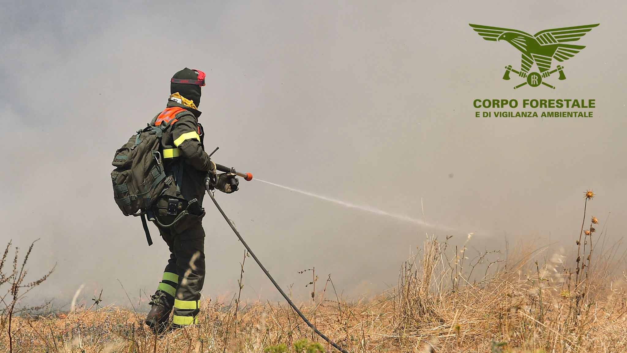 Calangianus: incendio nelle campagne