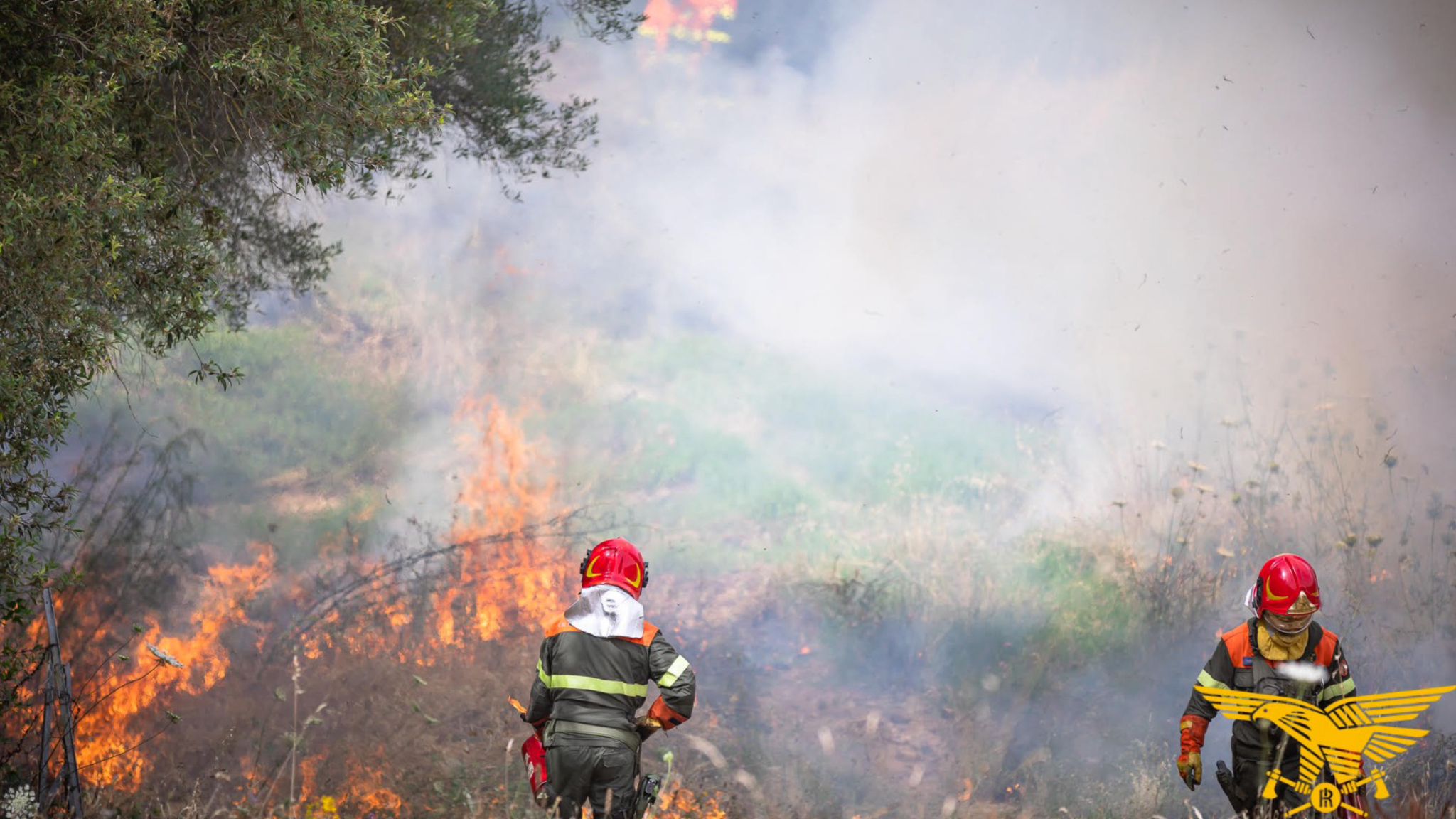 Ancora fuoco in Sardegna: ieri 13 incendi 