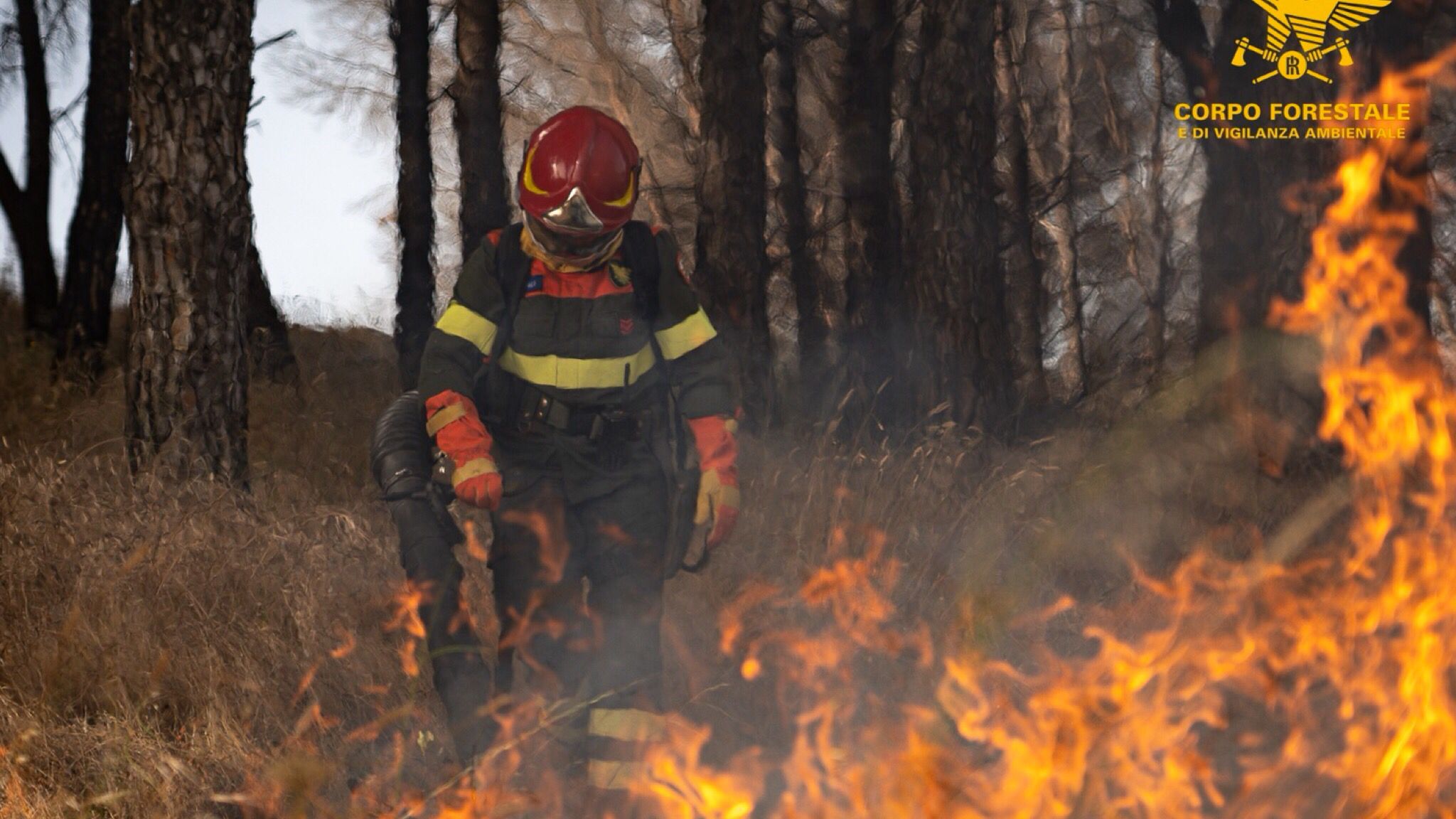 Sardegna a fuoco: ieri 16 incendi