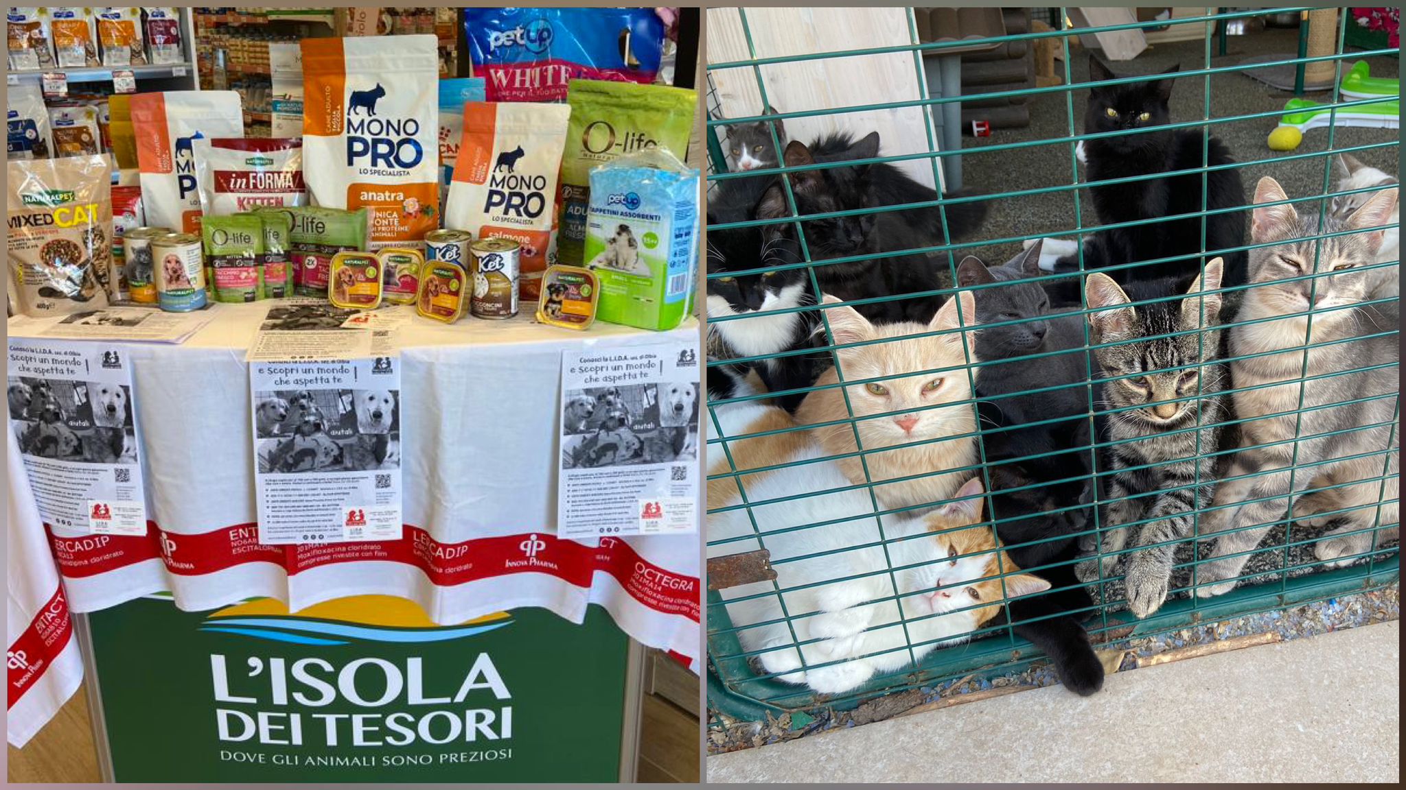 Negozio prodotti CANI E GATTI. NON PUBBLICATO