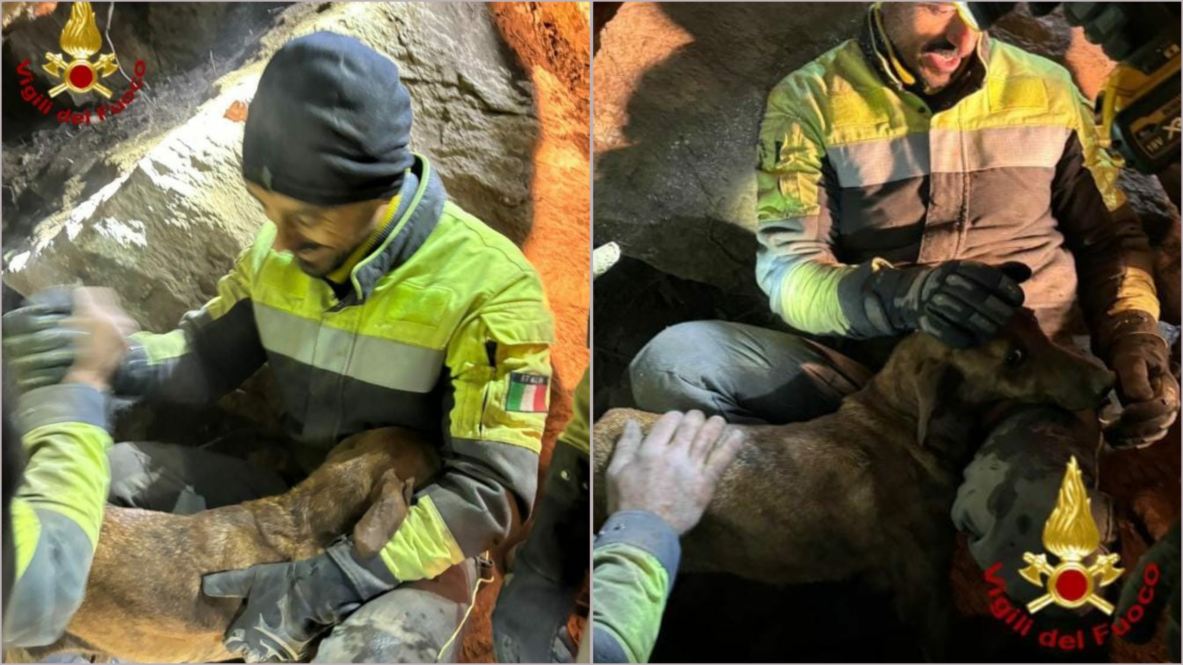 La squadra dei Vigili del Fuoco recupera cane tra le rocce: 24 ore di intervento