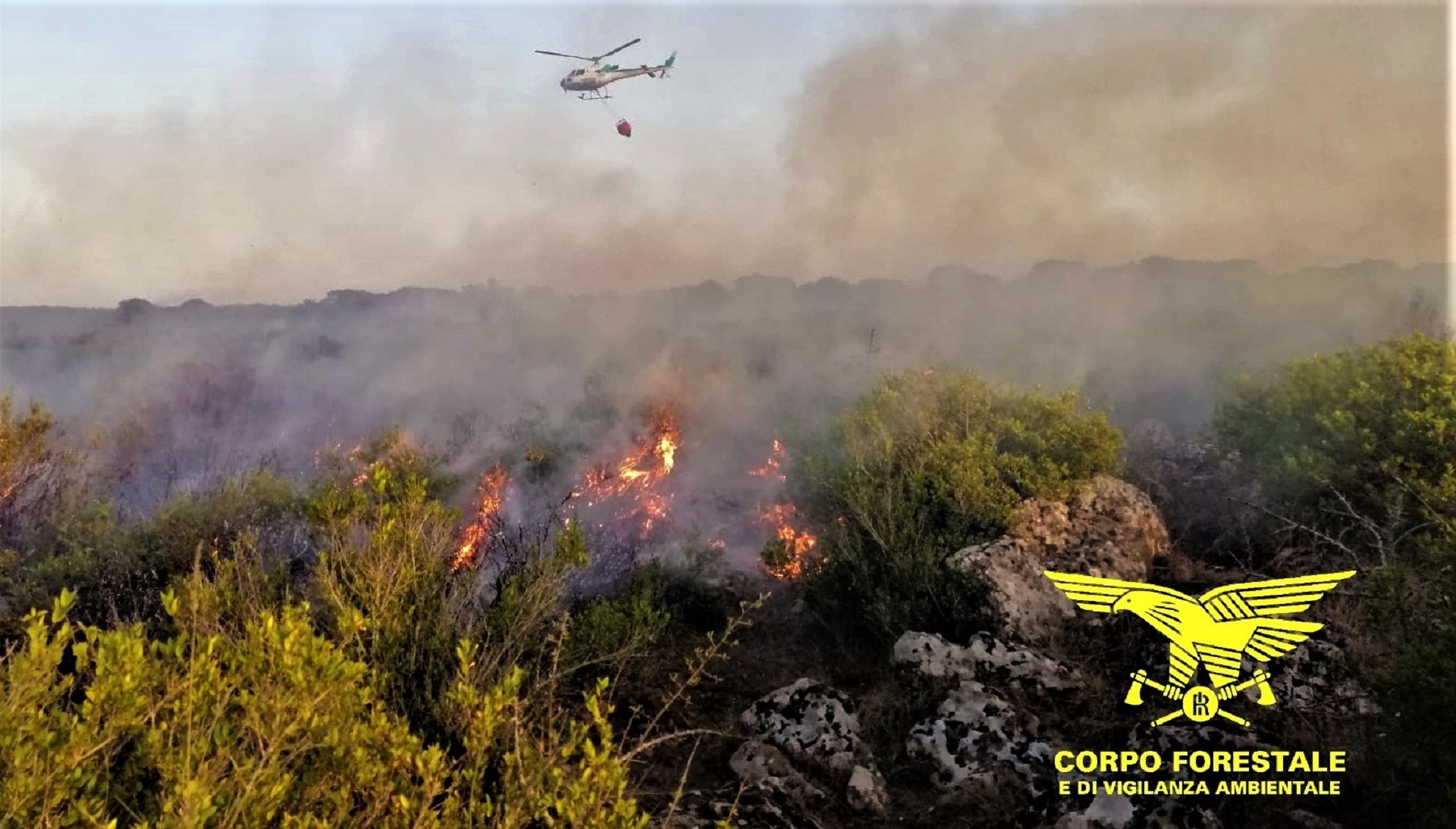 Olbia, incendio a Lu Casteddu