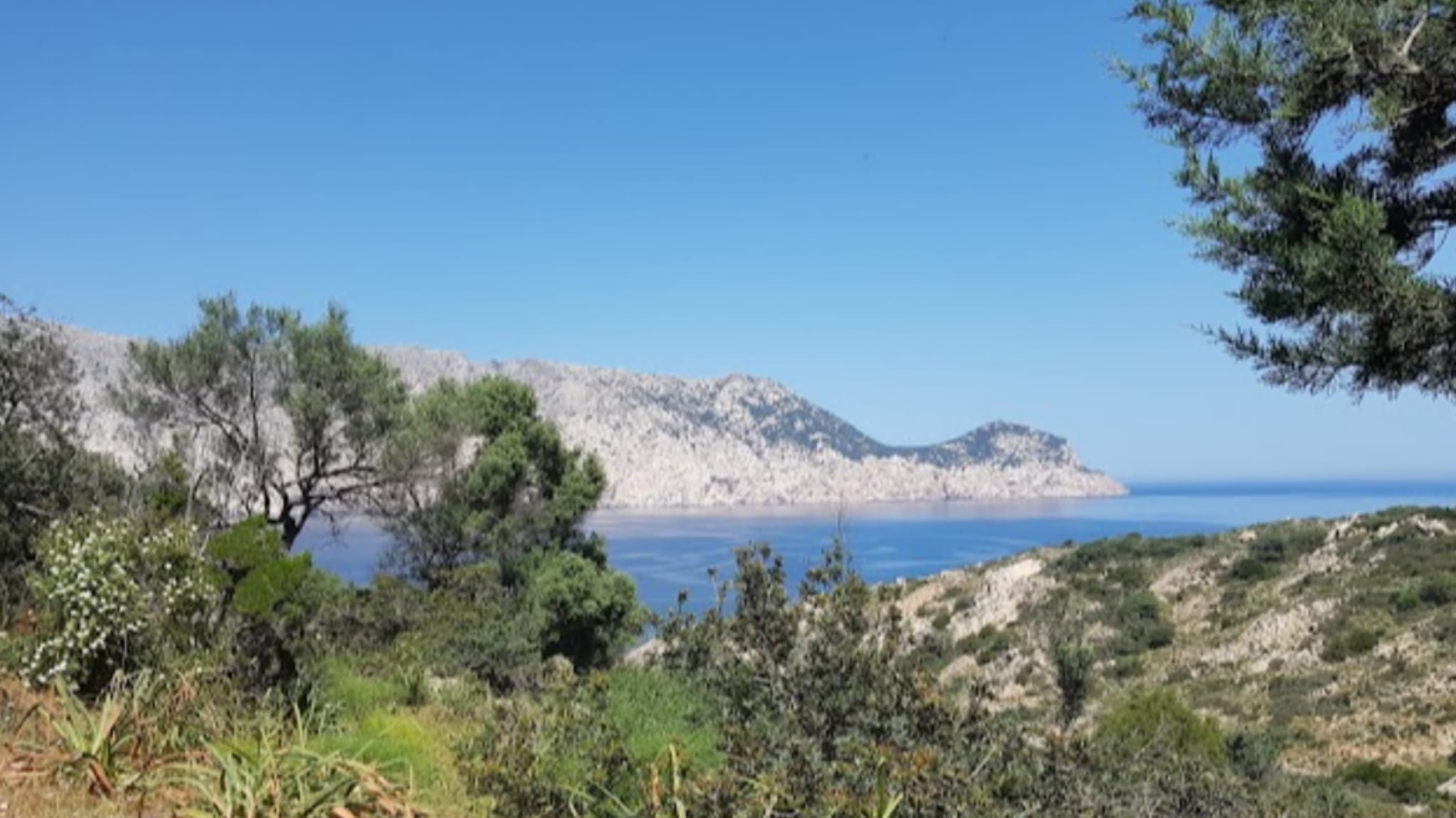 Olbia, Molara: un gioiello di natura, storia e cultura