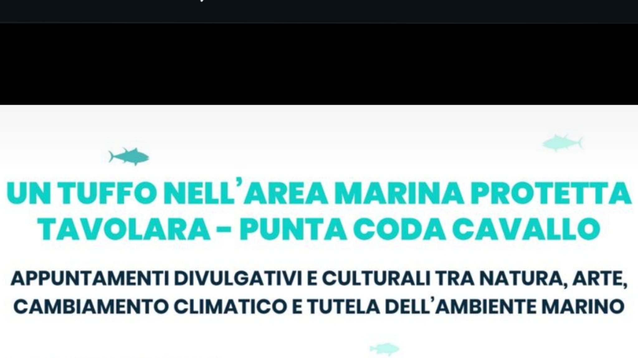 Loiri Porto San Paolo: un tuffo nell’area marina protetta Tavolara - Punta Coda Cavallo