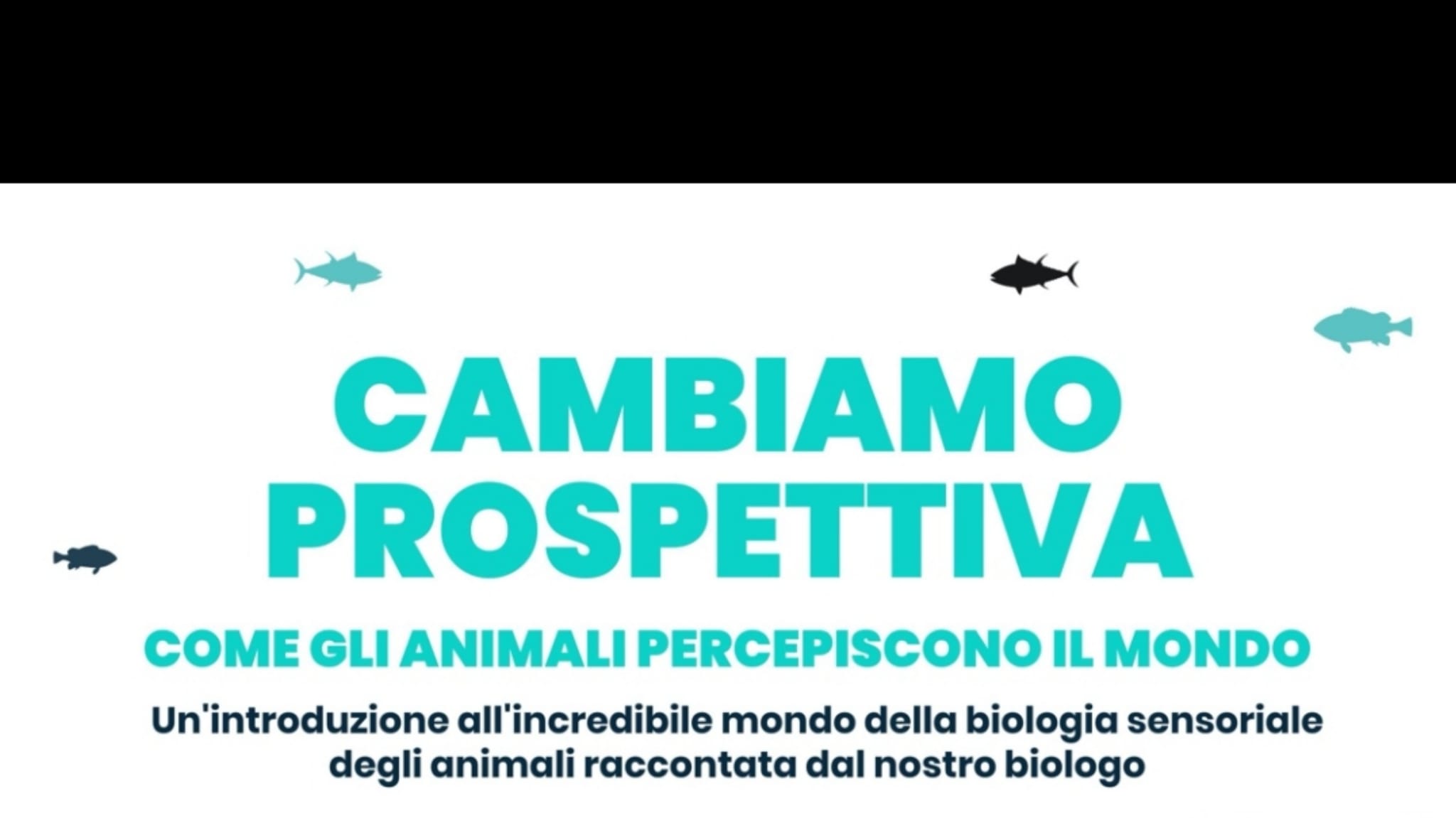 Golfo Aranci, Seaty Worldrise lancia “Cambiamo Prospettiva”