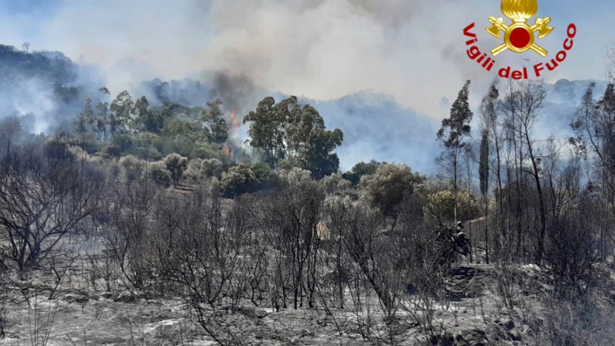 Ondata di incendi in Sardegna: ieri 12 roghi