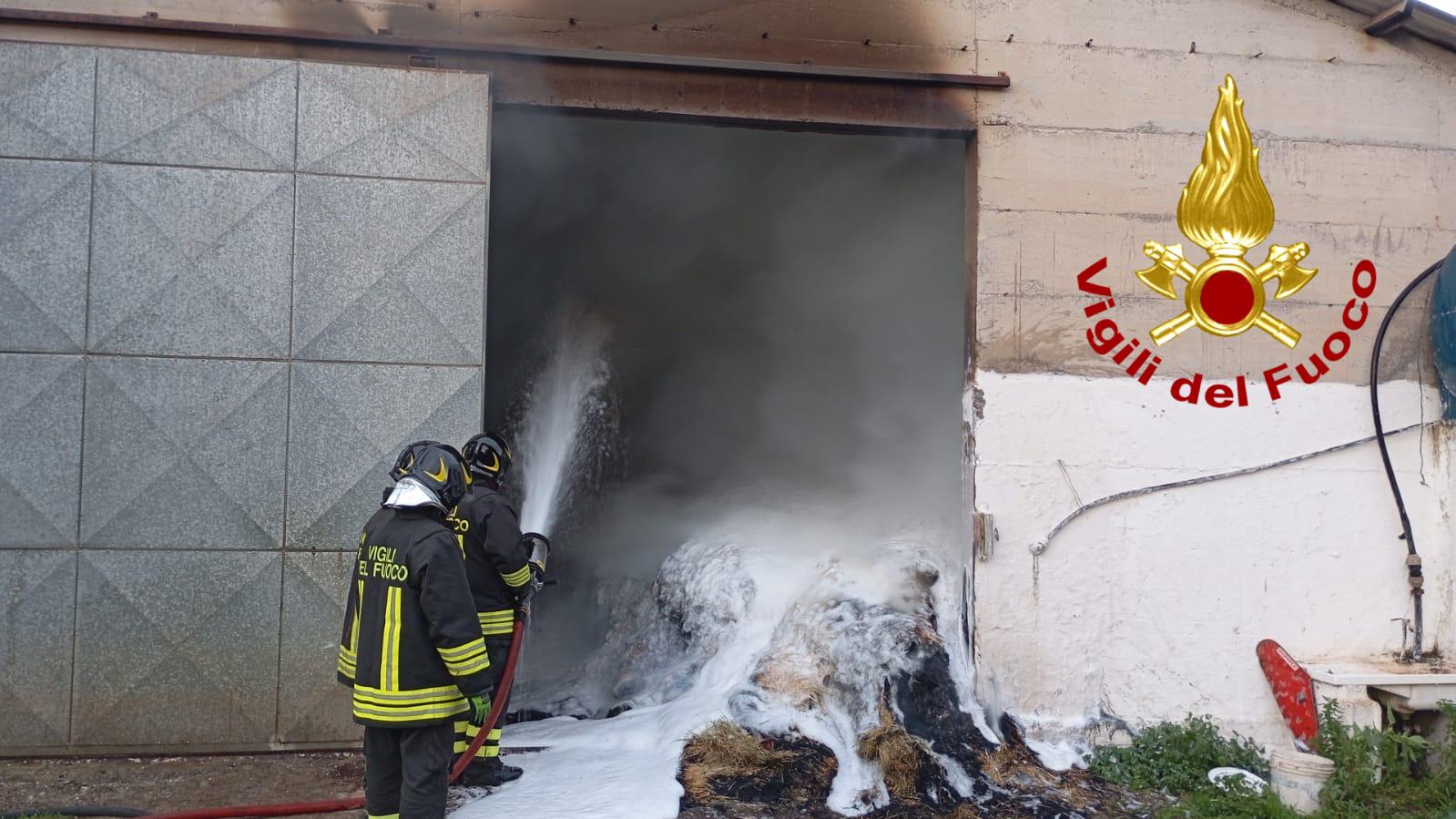 Incendio in un capannone agricolo: intervento tempestivo dei Vigili del Fuoco