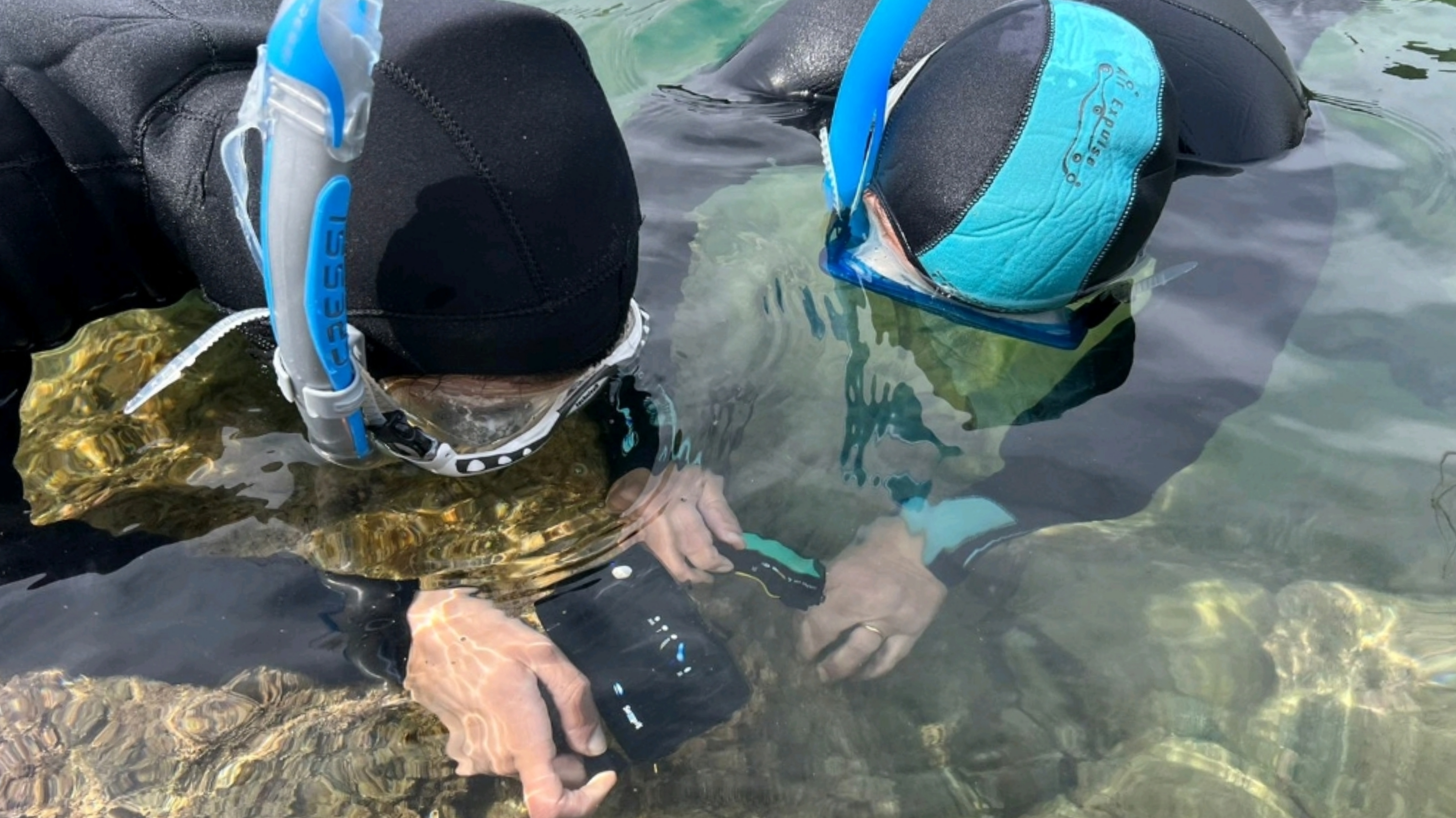 Santa Teresa Gallura, al via il progetto “BioWatching nel Blu”