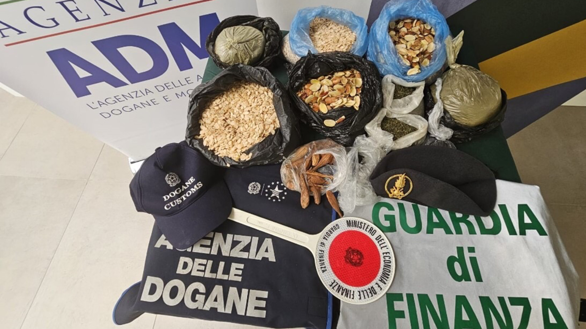 Sequestrati 8 kg di semi illegali: intervento della guardia di Finanza