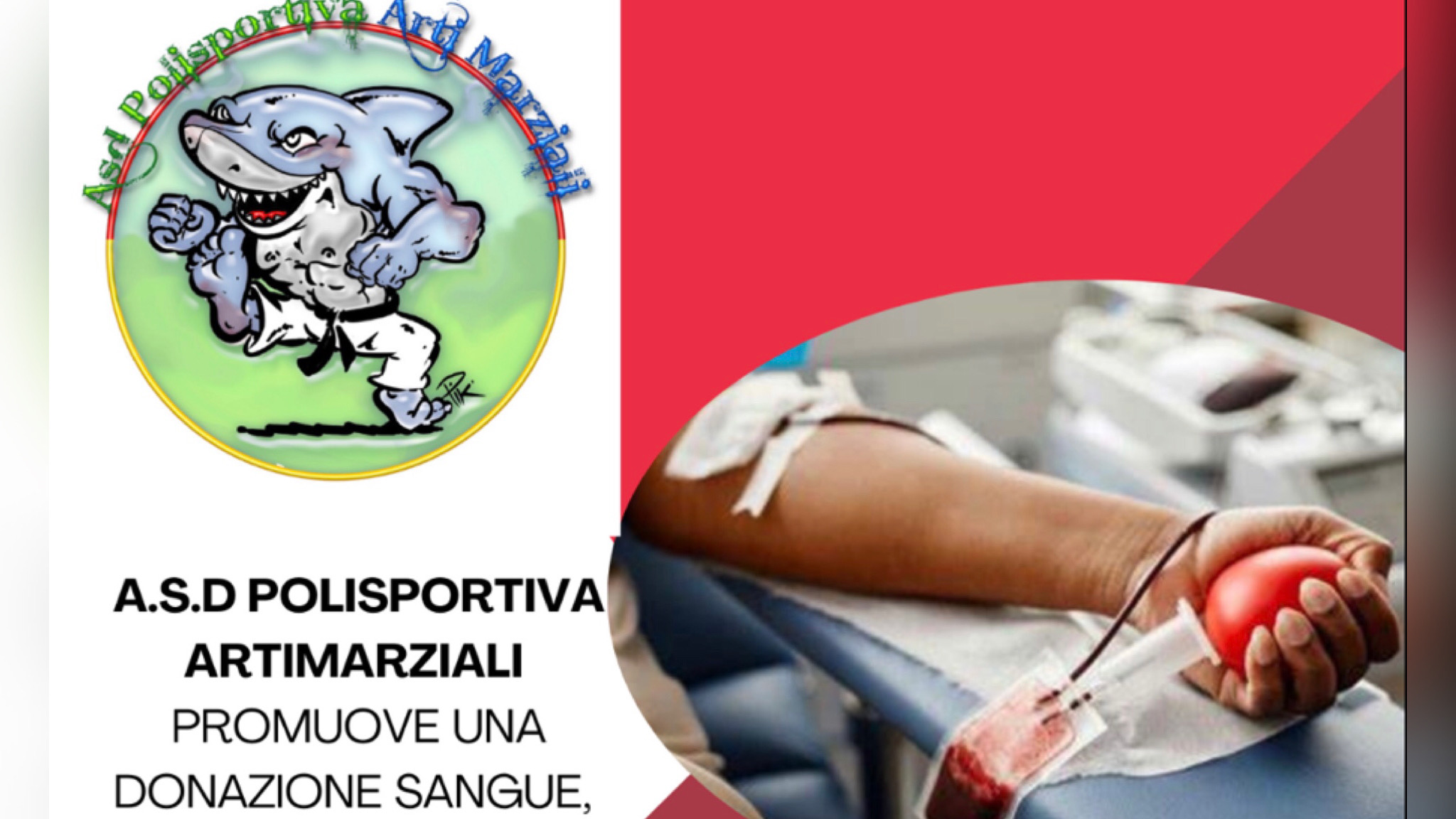 Olbia, arti marziali e Avis insieme per una giornata di sensibilizzazione