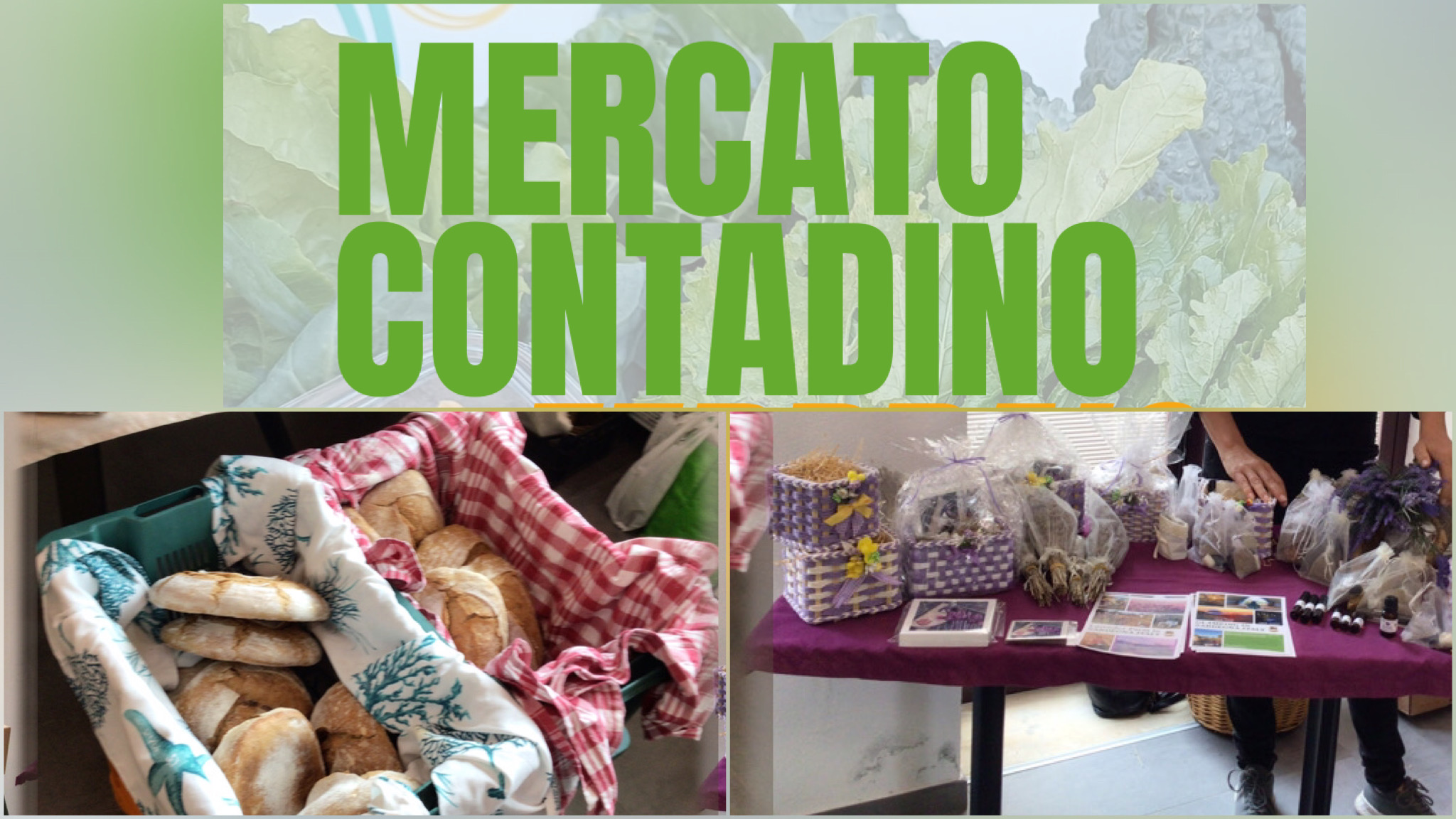 Olbia, prodotti a Km zero: ritorna il “Mercato Contadino”