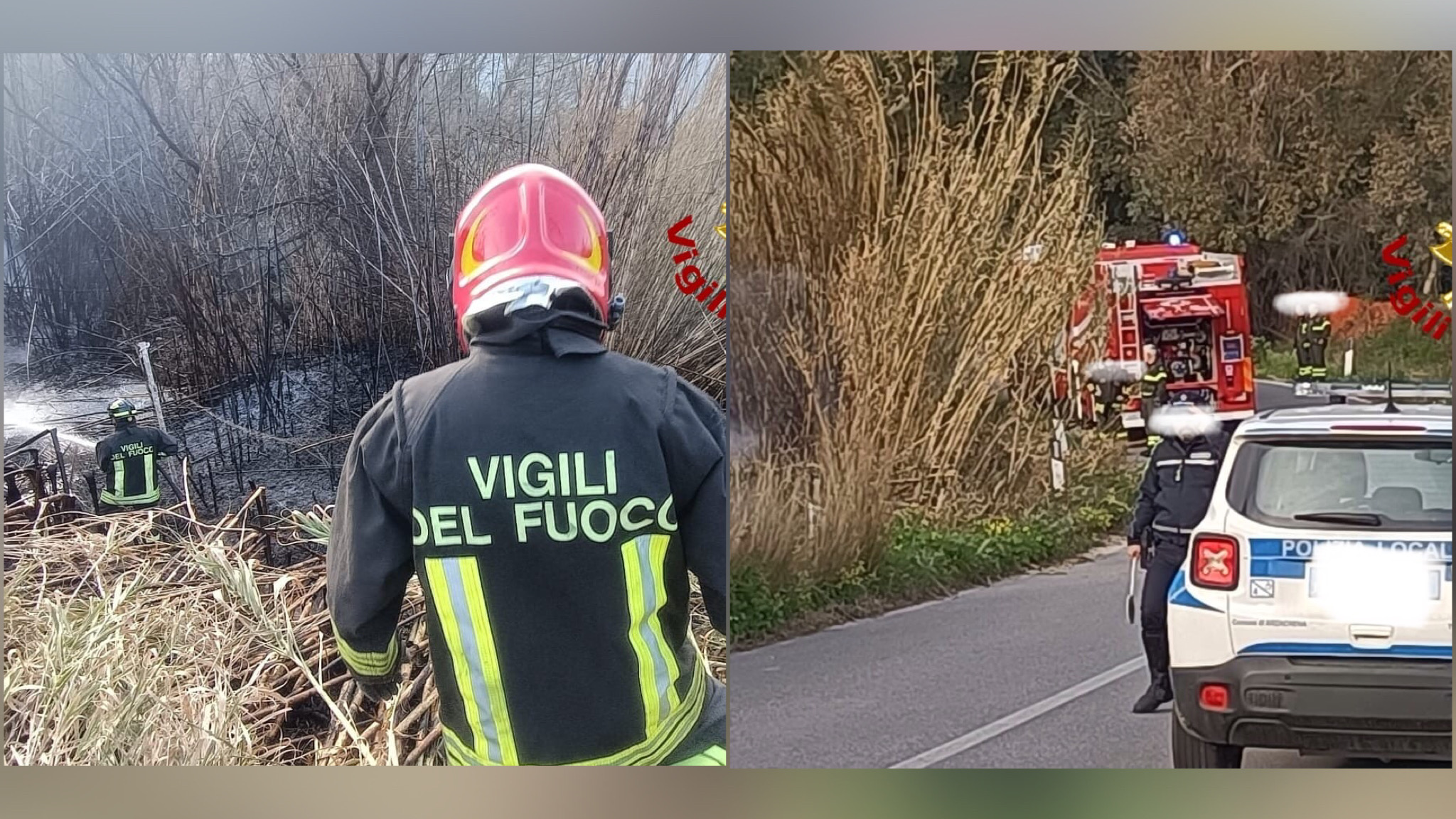 Arzachena, canneto in fiamme: pronto intervento dei Vigili del Fuoco