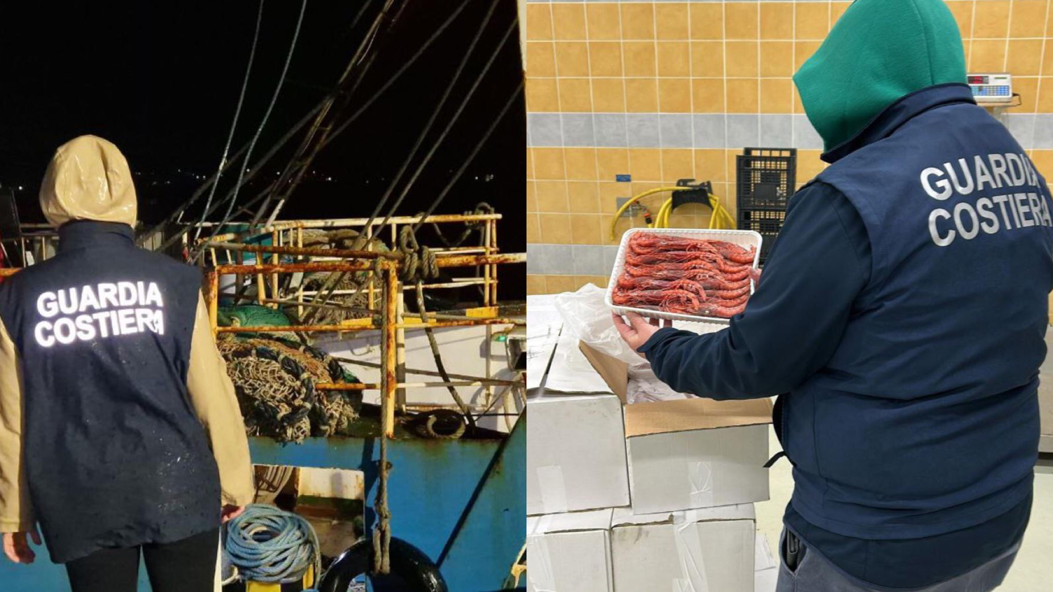 Golfo Aranci, pescato illegale: sequestrati 200 kg di gamberi pregiati