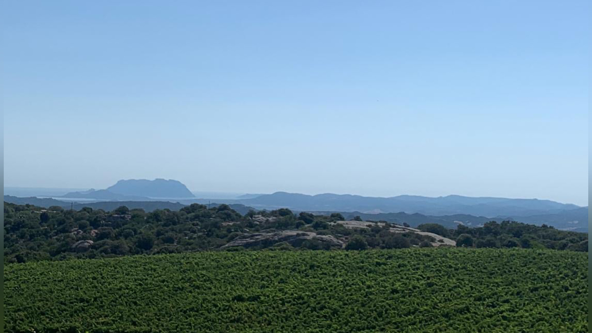 Telti, ai nastri di partenza la prima edizione de La Collina del gusto