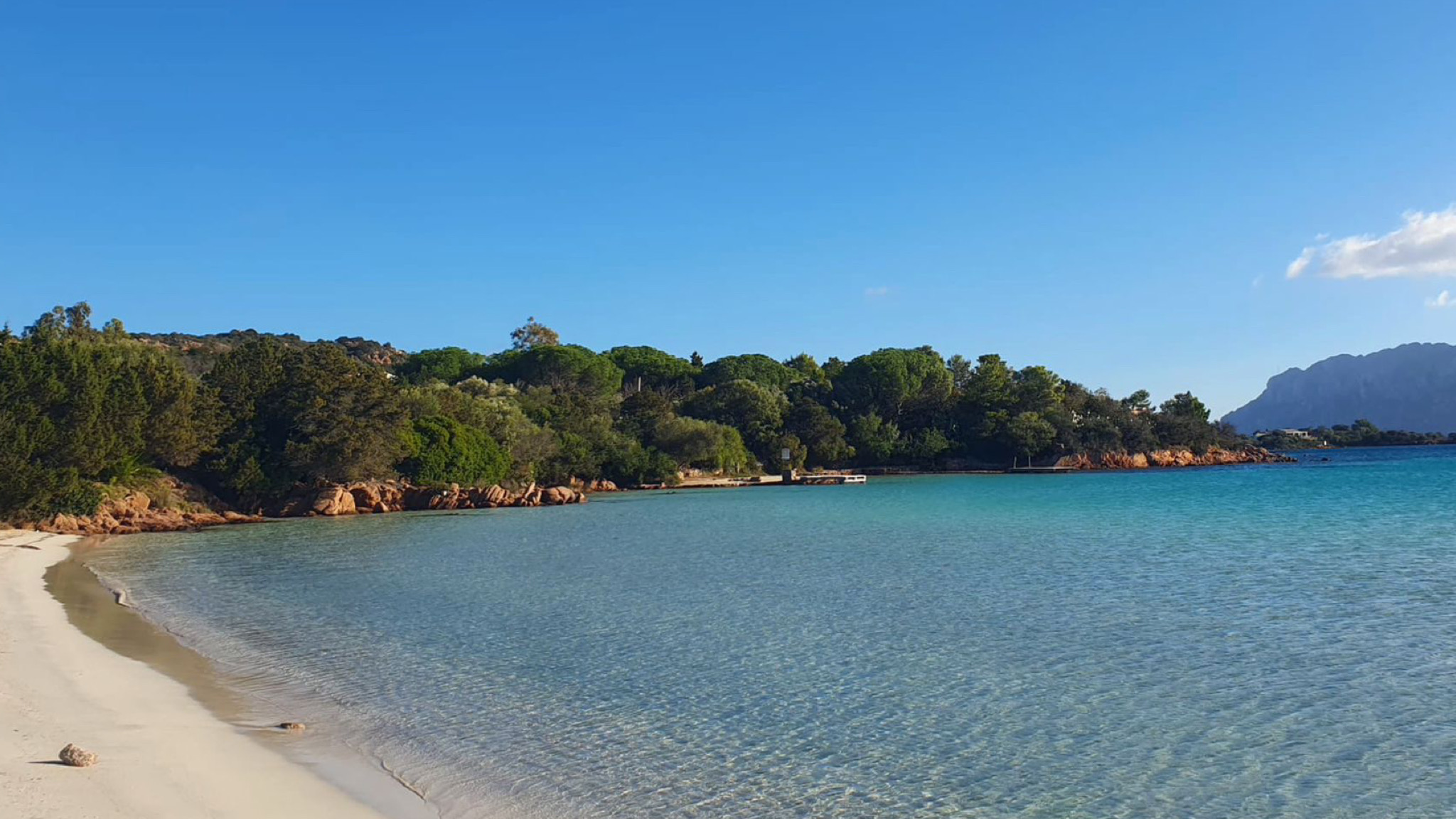 Olbia, salumi molto 