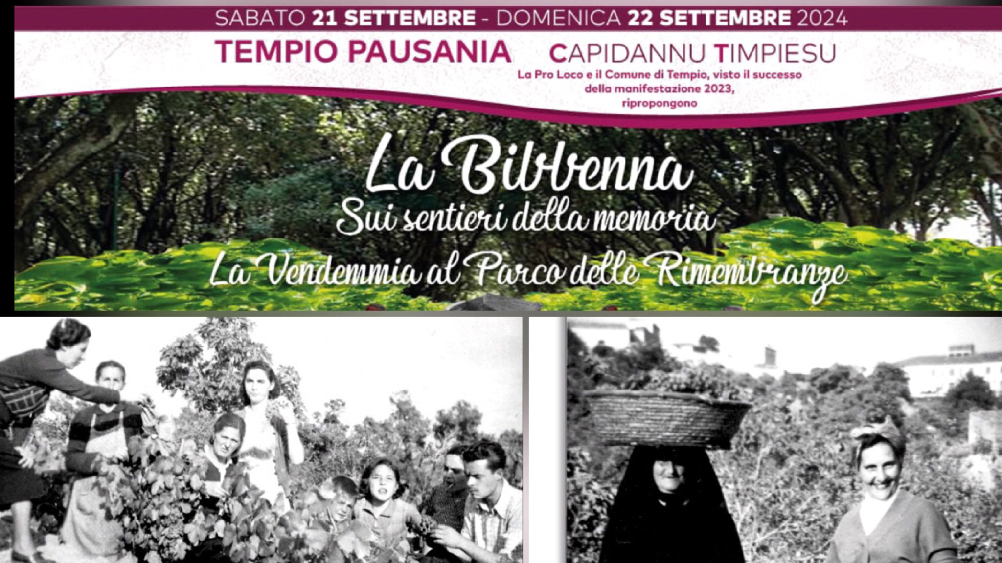 Tempio Pausania, due giorni con Sa Bibbenna: la vendemmia tra tradizione e memoria 