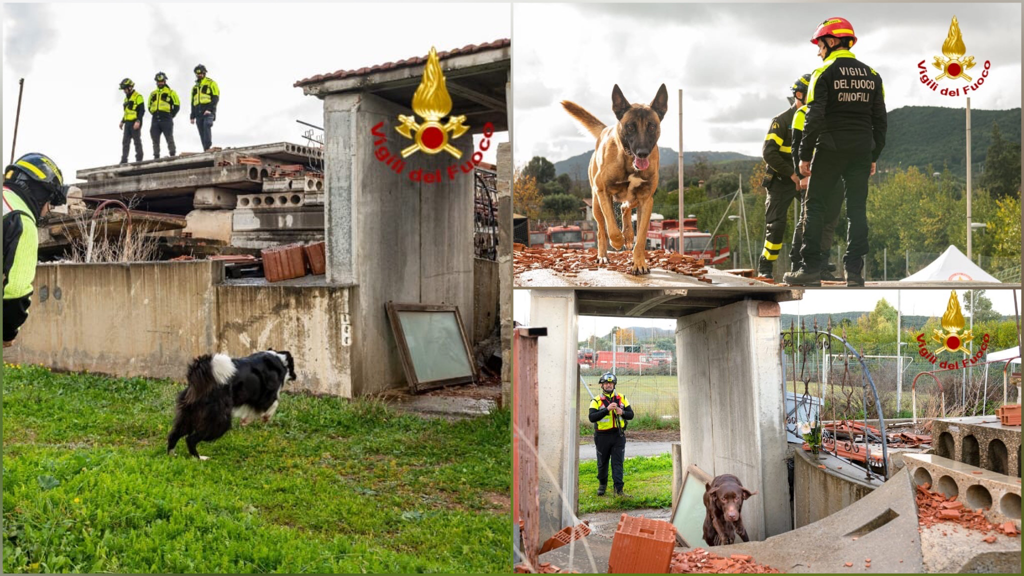 Vigili del Fuoco: arrivano i nuovi assistenti a quattro zampe