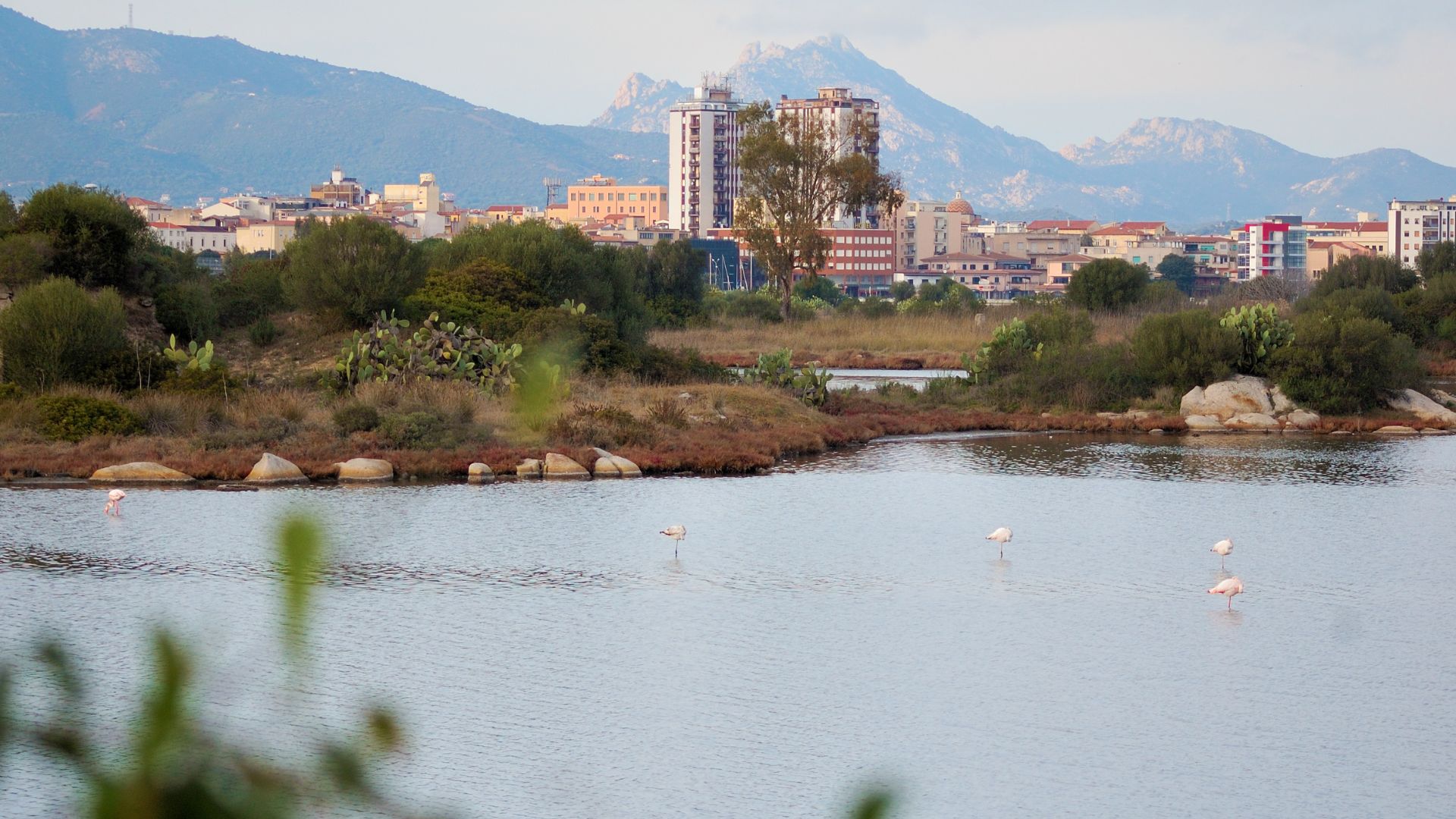 Olbia in 3 Giorni: Itinerario perfetto tra mare, cultura e sapori