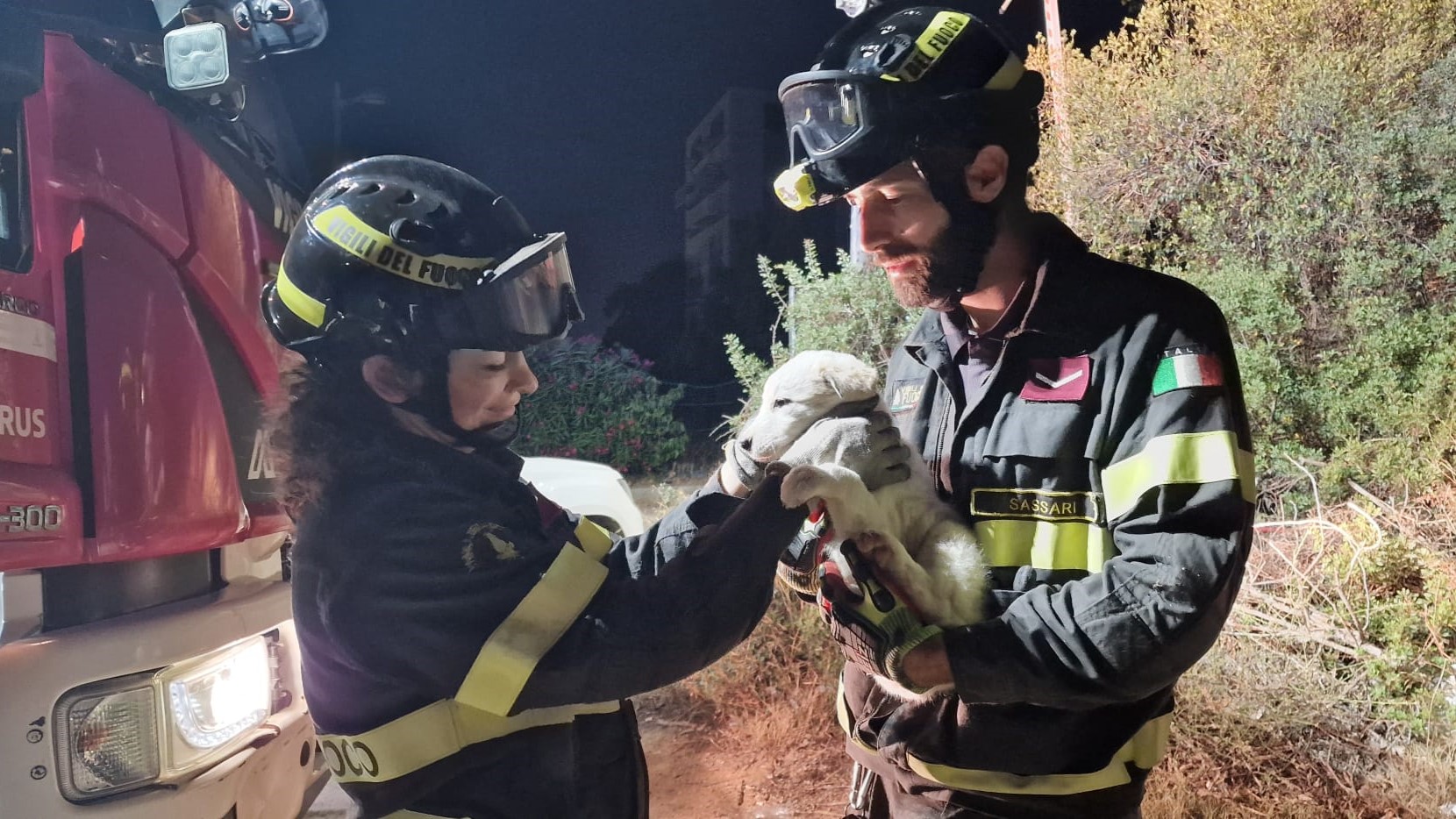 Olbia, cucciola terrorizzata dai tuoni finisce in un ammasso di rovi: salvata dai vigili del fuoco