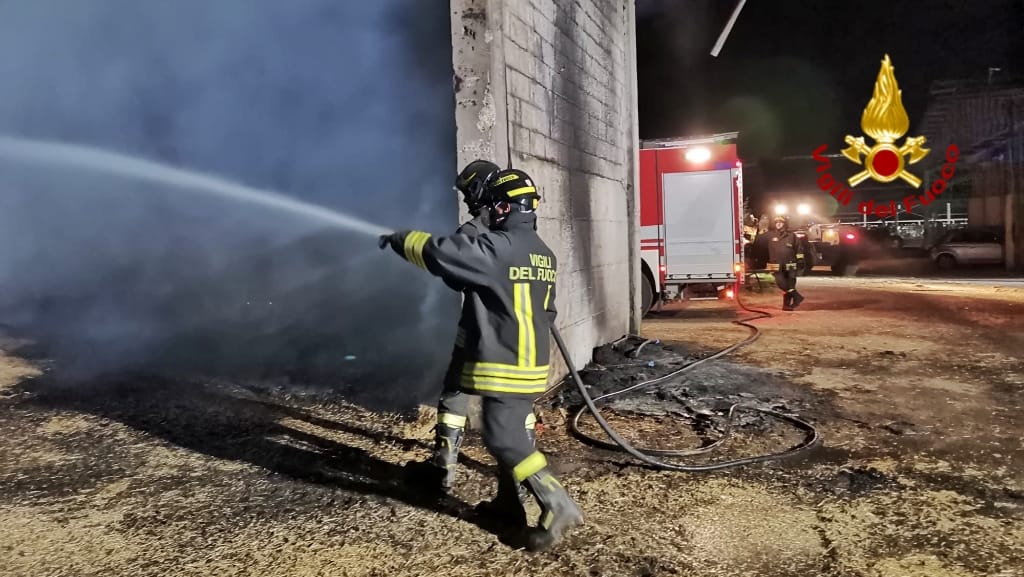 Incendio distrugge fienile e uccide venti vitelli